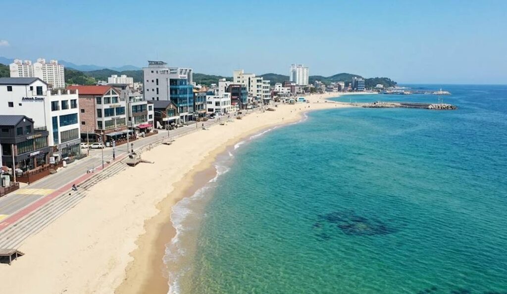 강릉 카페 거리 전경과 푸른 바다